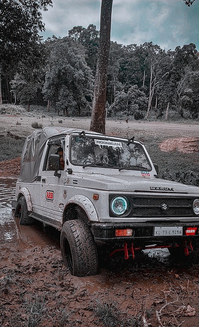 握在自己手 握在自己手