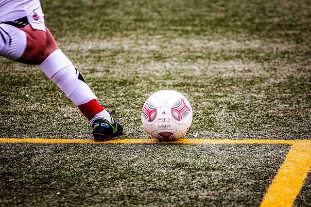 的明星球员 的明星球员