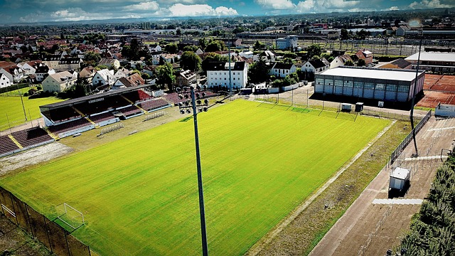 但由于缺乏 但由于缺乏