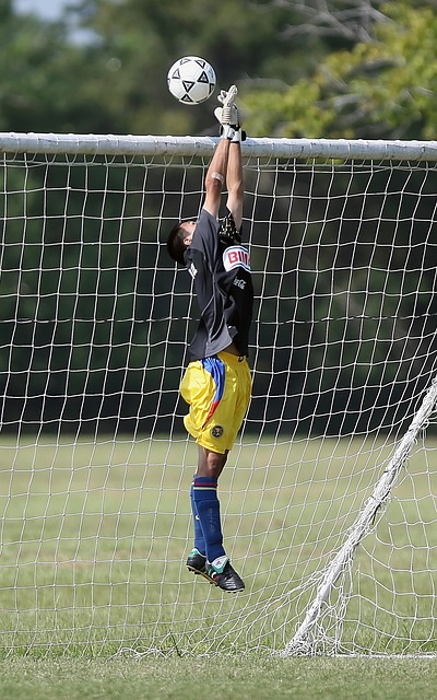 化精髓的同 化精髓的同