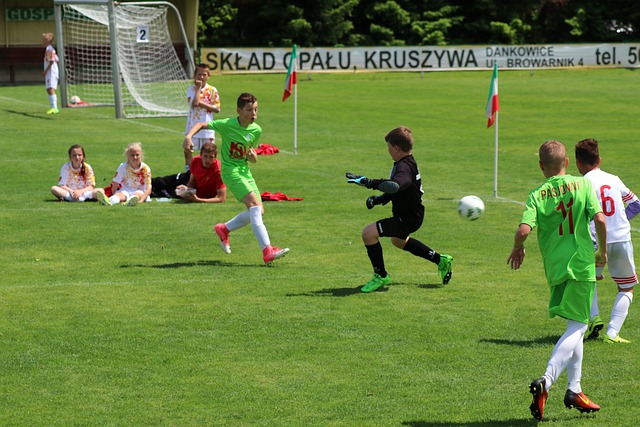 或缺的一环 或缺的一环