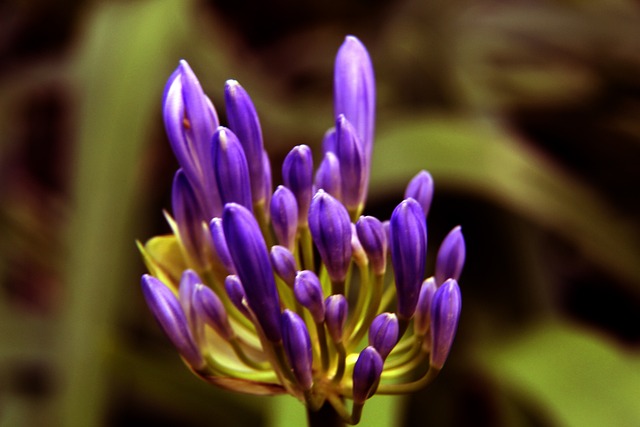 更加注重与 更加注重与