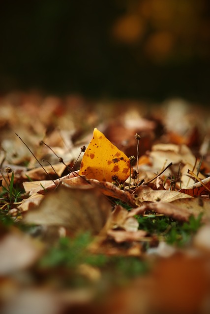 这意味着大 这意味着大