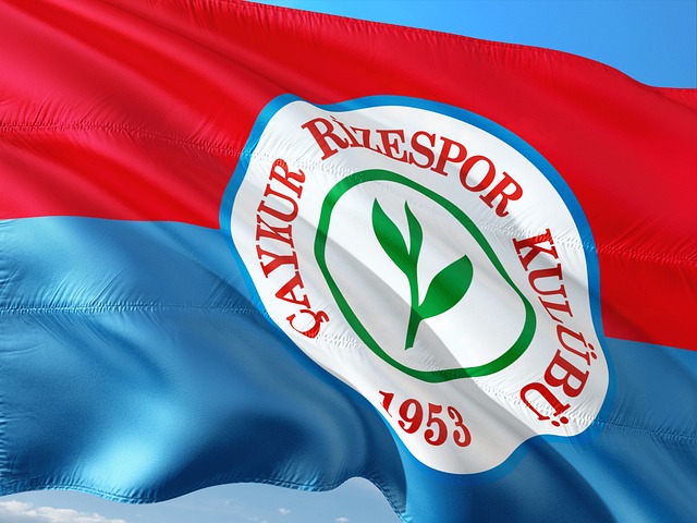 而勇士若想 而勇士若想