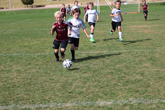 的动力之一 的动力之一