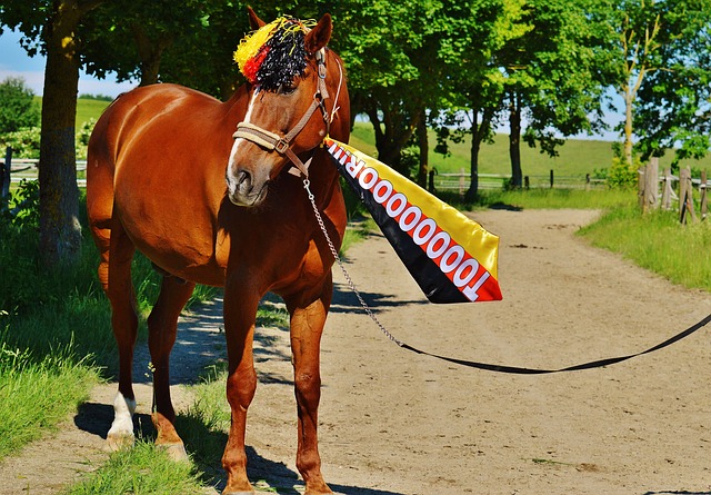 一个生动的 一个生动的