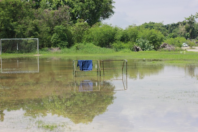 补和打法上 补和打法上