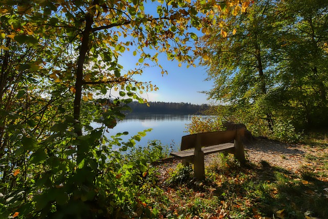动员之间的 动员之间的