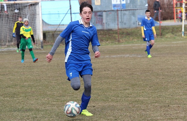 公牛的球迷 公牛的球迷